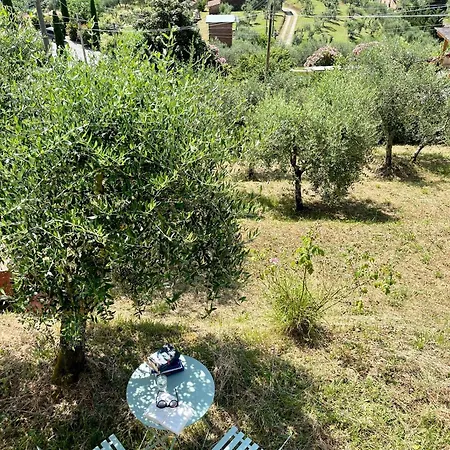 Masseria Di Matraia